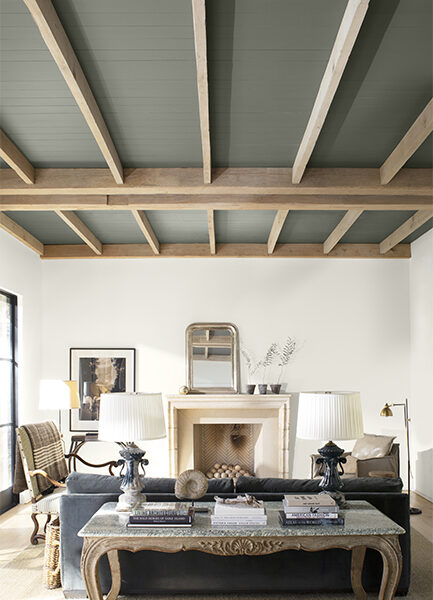 ceiling carousel fk212 modal 650