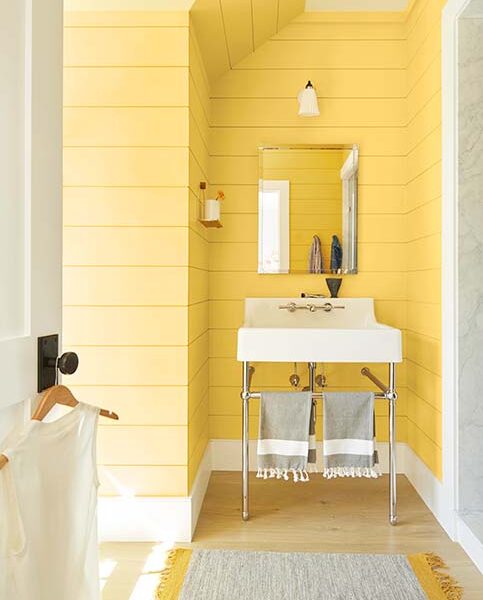 colorbyfamilyyellow carousel fk218 modal 650