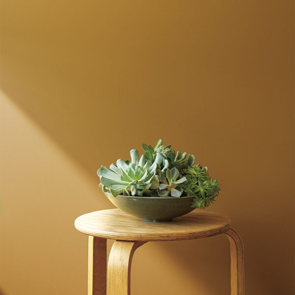 colorbyfamilyyellow carousel nkoykent modal 650