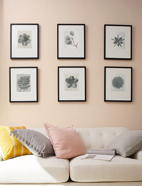 dusty trail wall inspiration carousel 459x650