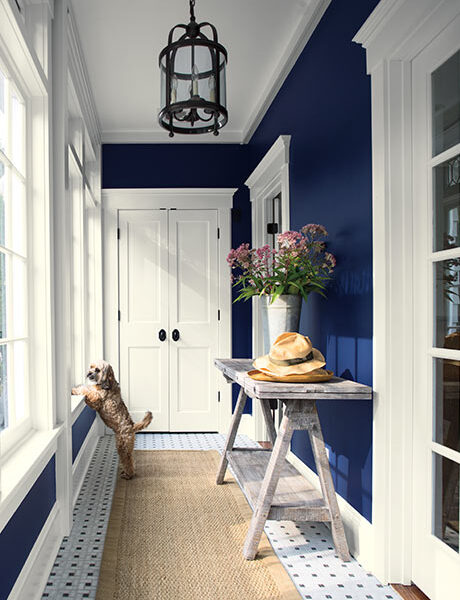 ColorPreview_OldNavy_Carousel6