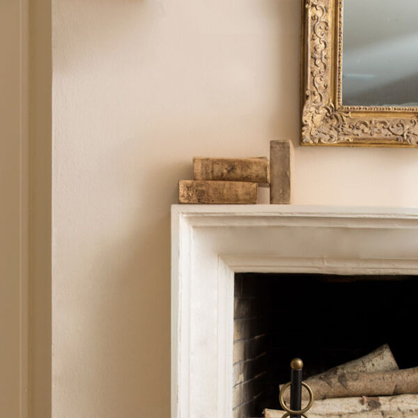 F-Norwalk1_Bench_0524_Fossil_AF-65