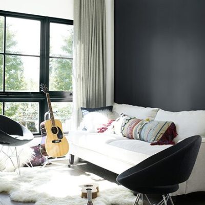 baby-seal-black-and-white-living-room-carousel