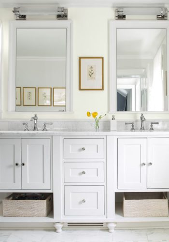 bathroom icemist carousel