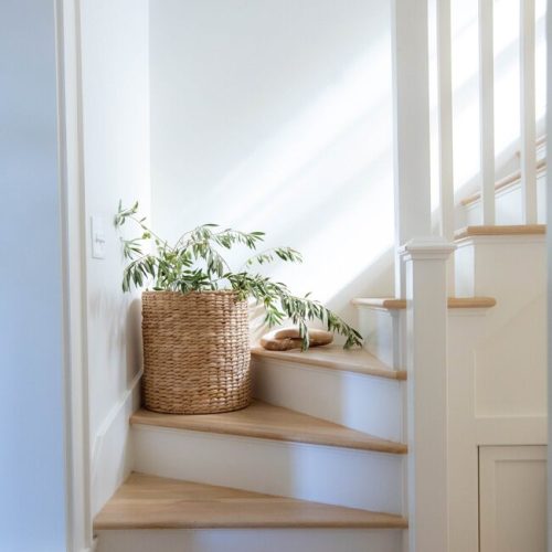 white-paint-staircase-corner-walls-plant-carousel